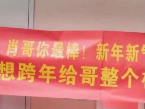 肖战新综艺定档 跨年花絮素颜练舞萌翻粉丝